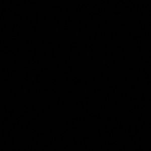 Meet your Posher, Amari